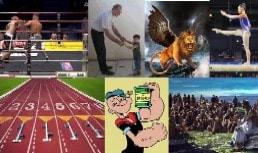 Timoteo Studio biblico